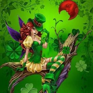 Meet your Posher, Barb